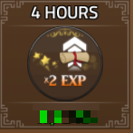 x2 Exp 4 Hours