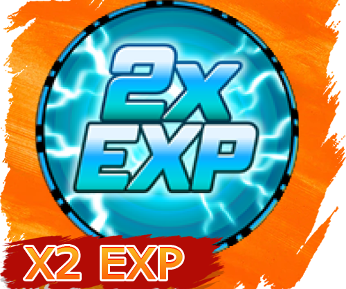 2x Exp